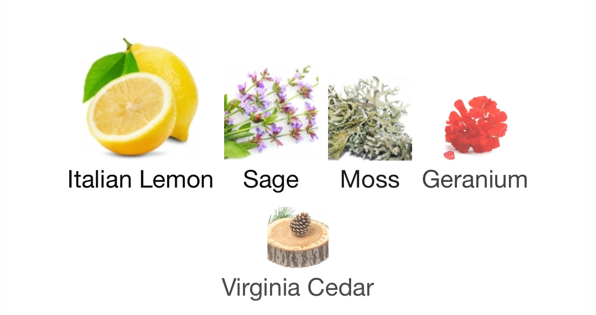 Goldfield & Banks Pacific Rock Moss EDP 100ml