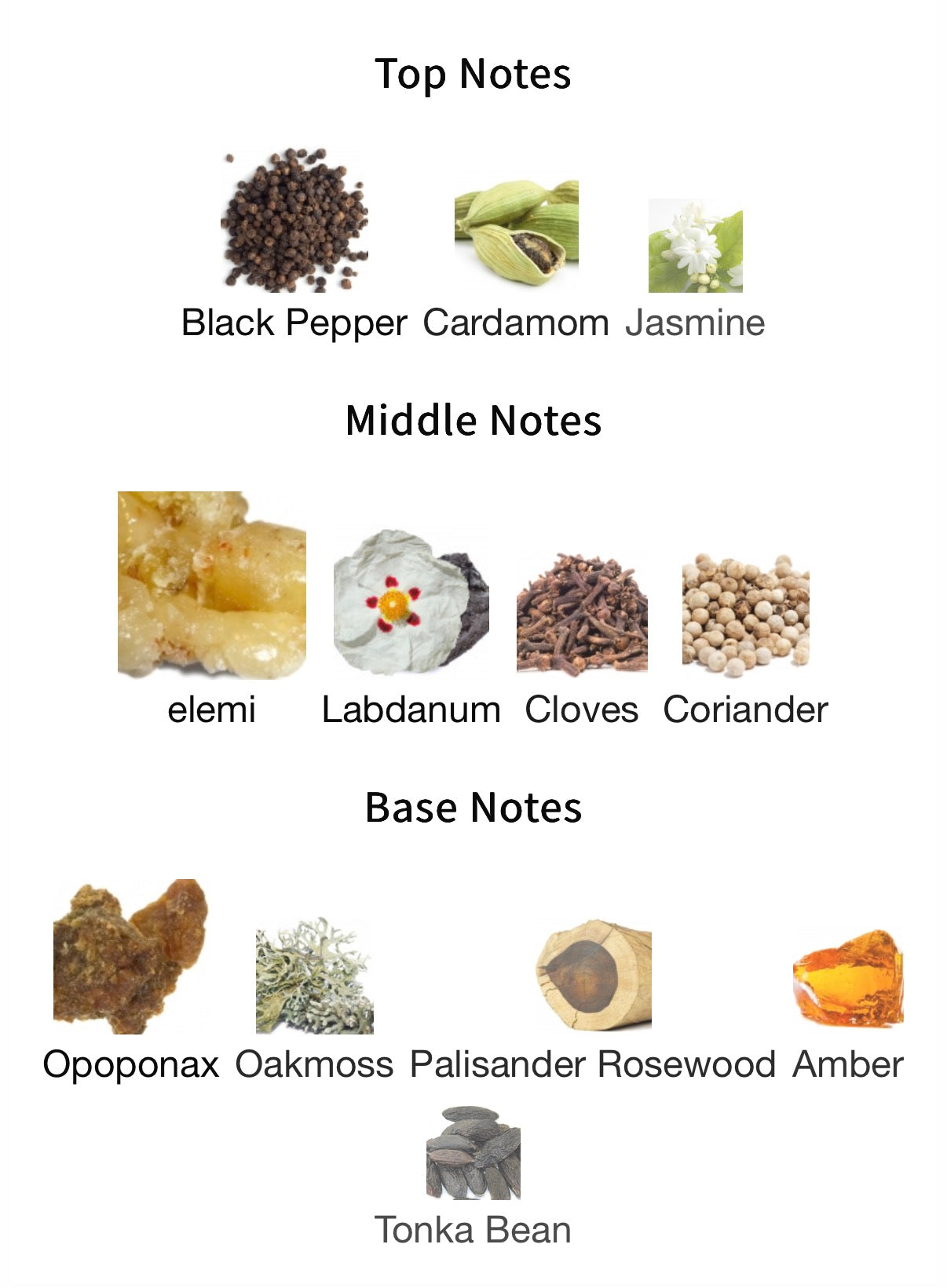 Filippo Sorcinelli LAVS Extrait 100ml