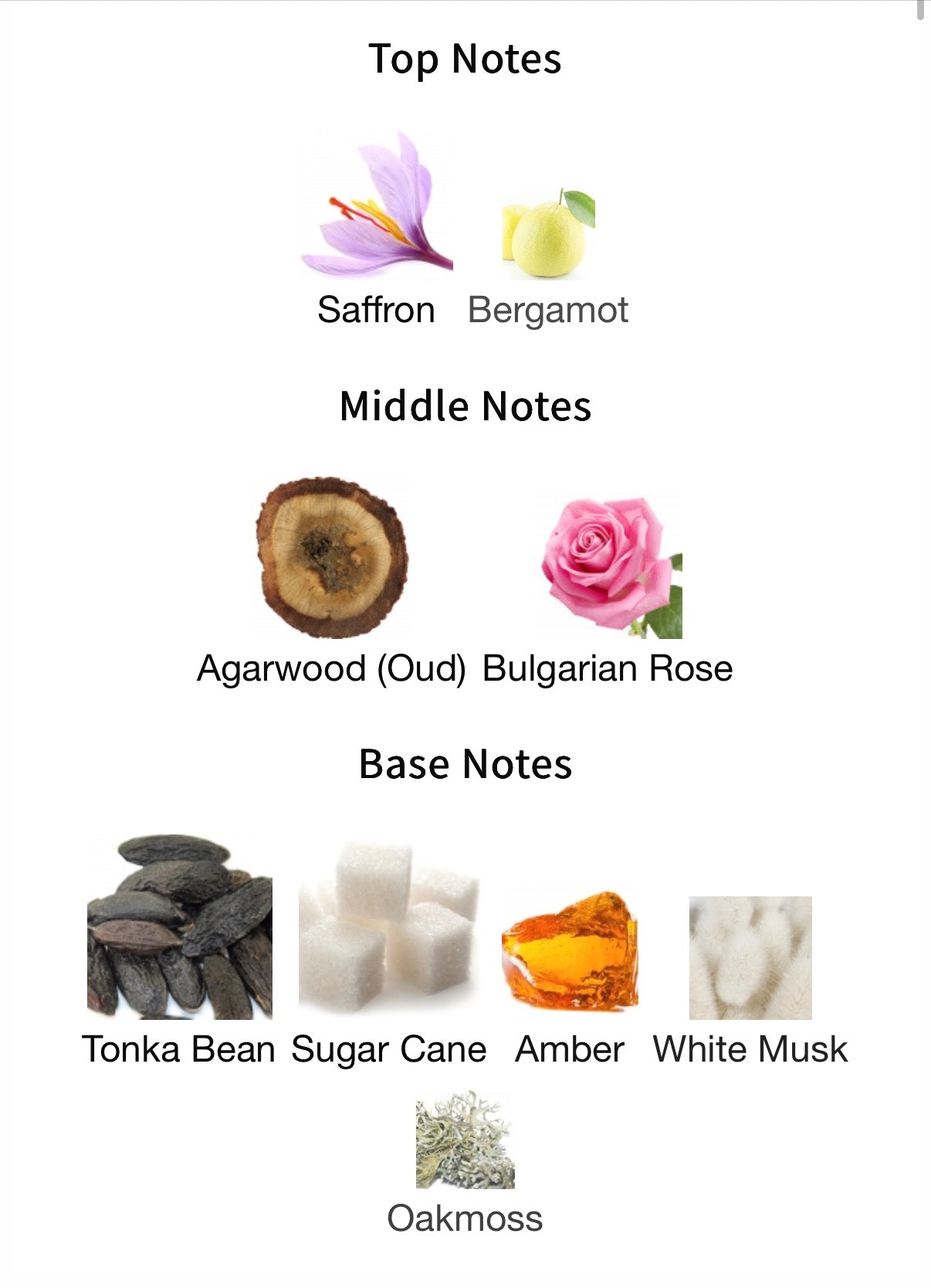 Montale Arabians Tonka EDP