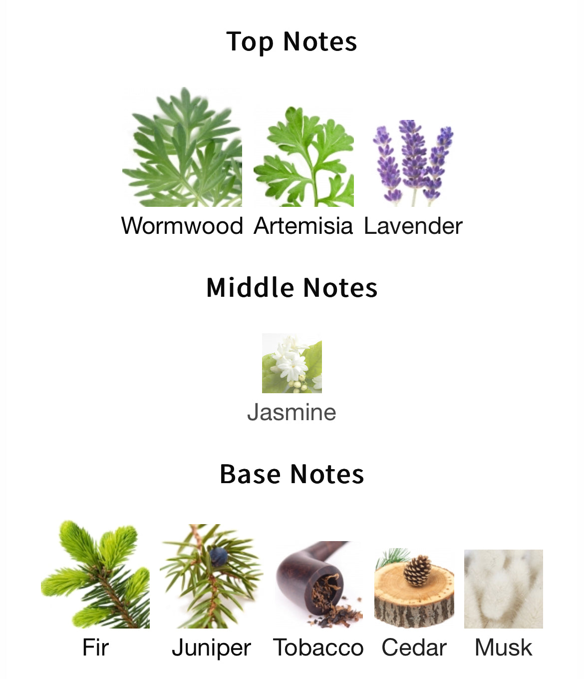 Orto Parisi Viride Extrait 50ml