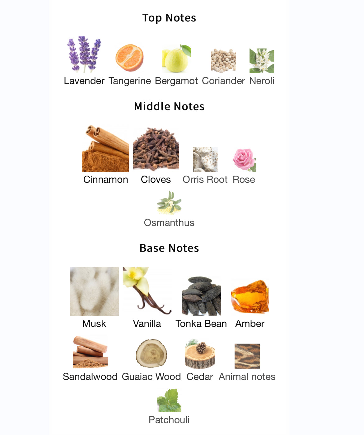 Frederic Malle Musc Ravageur EDP 100ml