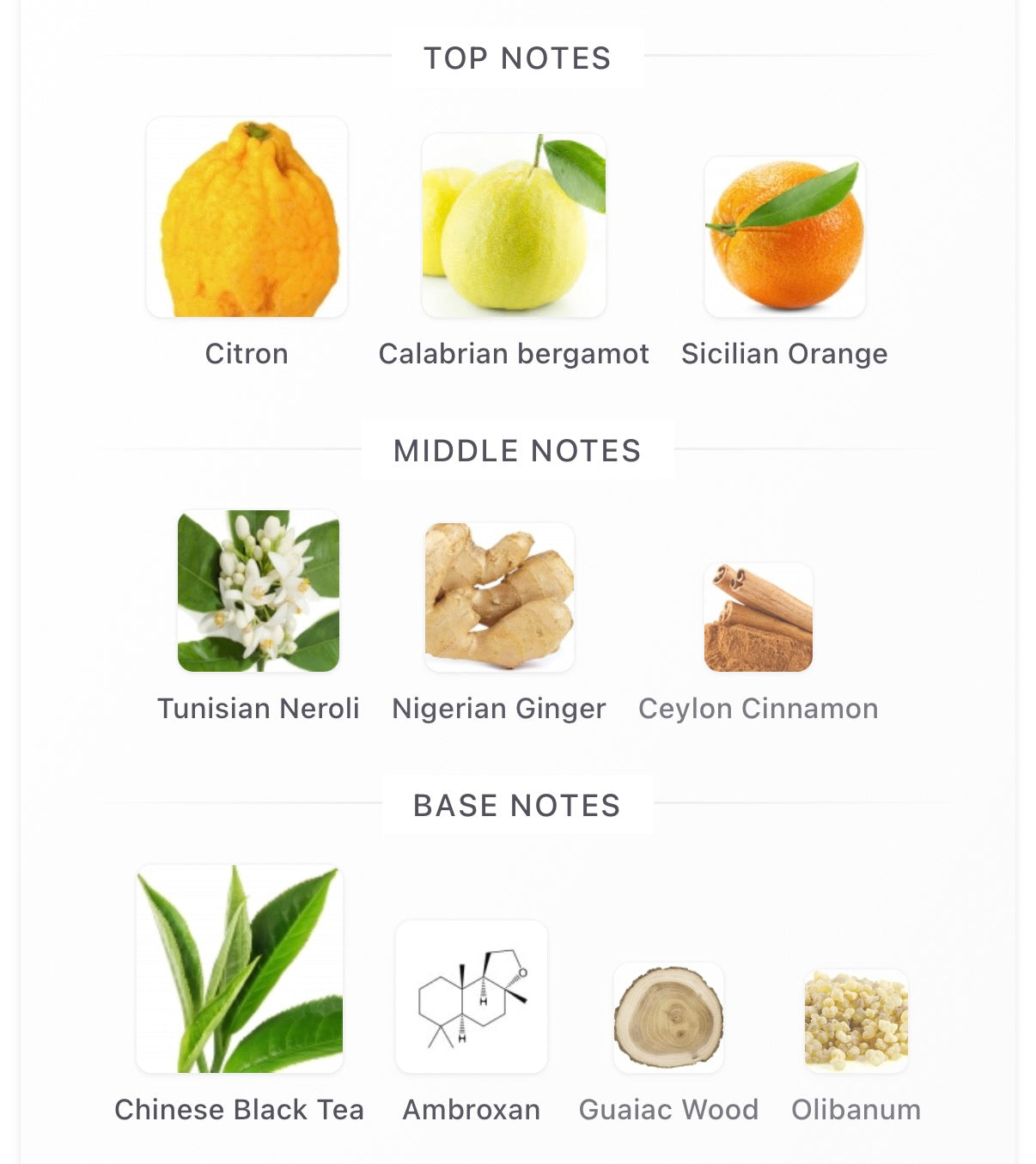 Louis Vuitton Imagination EDP