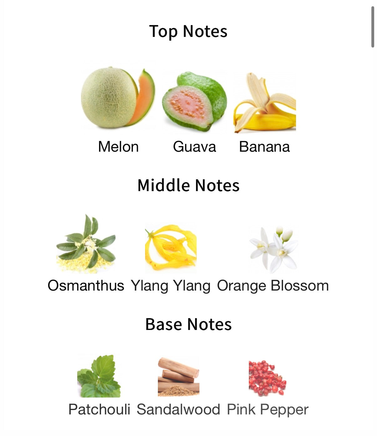 Mind Games Counterplay Extrait 100ml