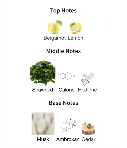 Orto Parisi Megamare Extrait 50ml