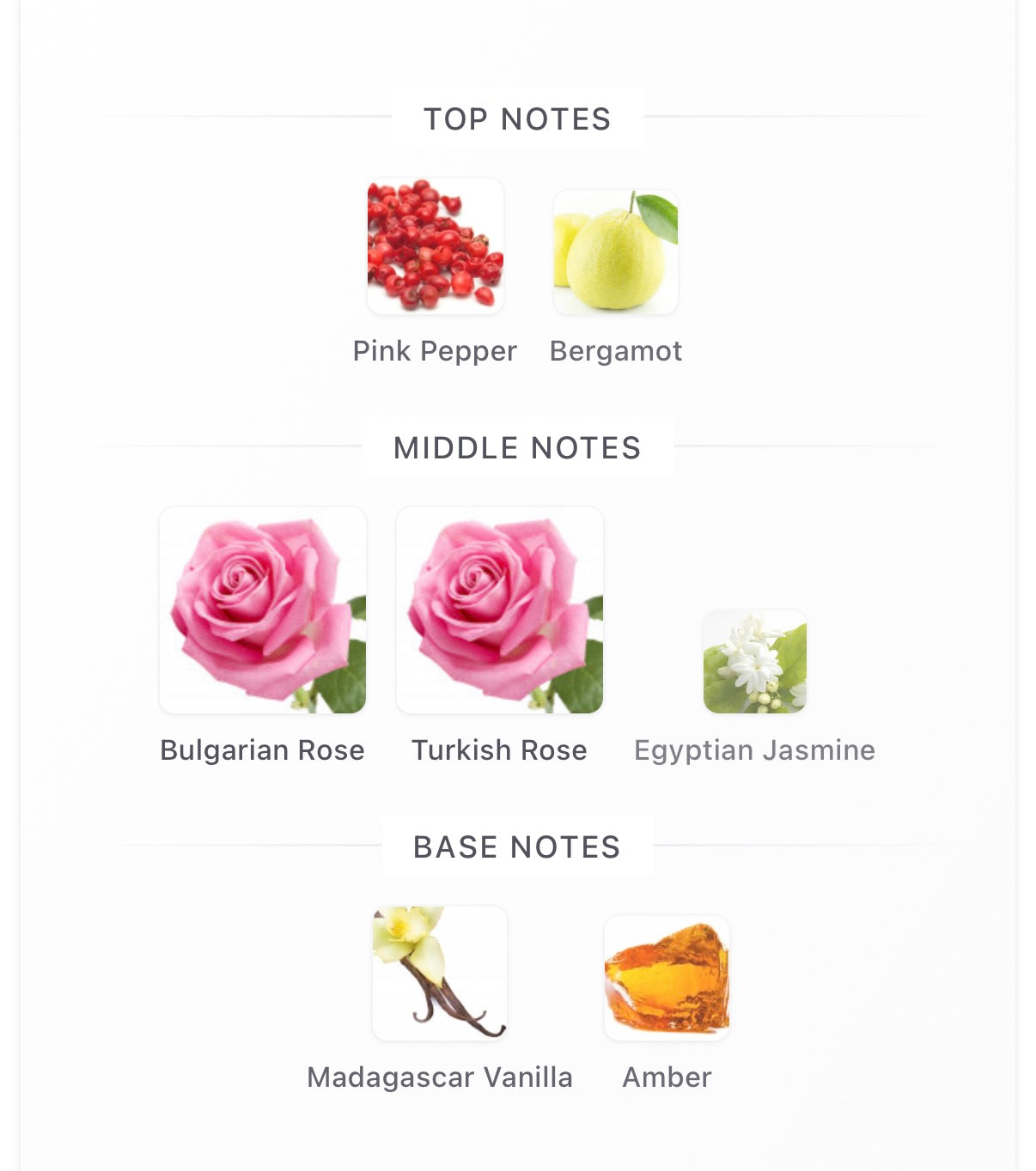Initio Atomic Rose EDP 90ml