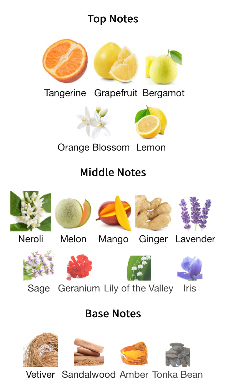 Pana Dora Forever Love Extrait 100ml