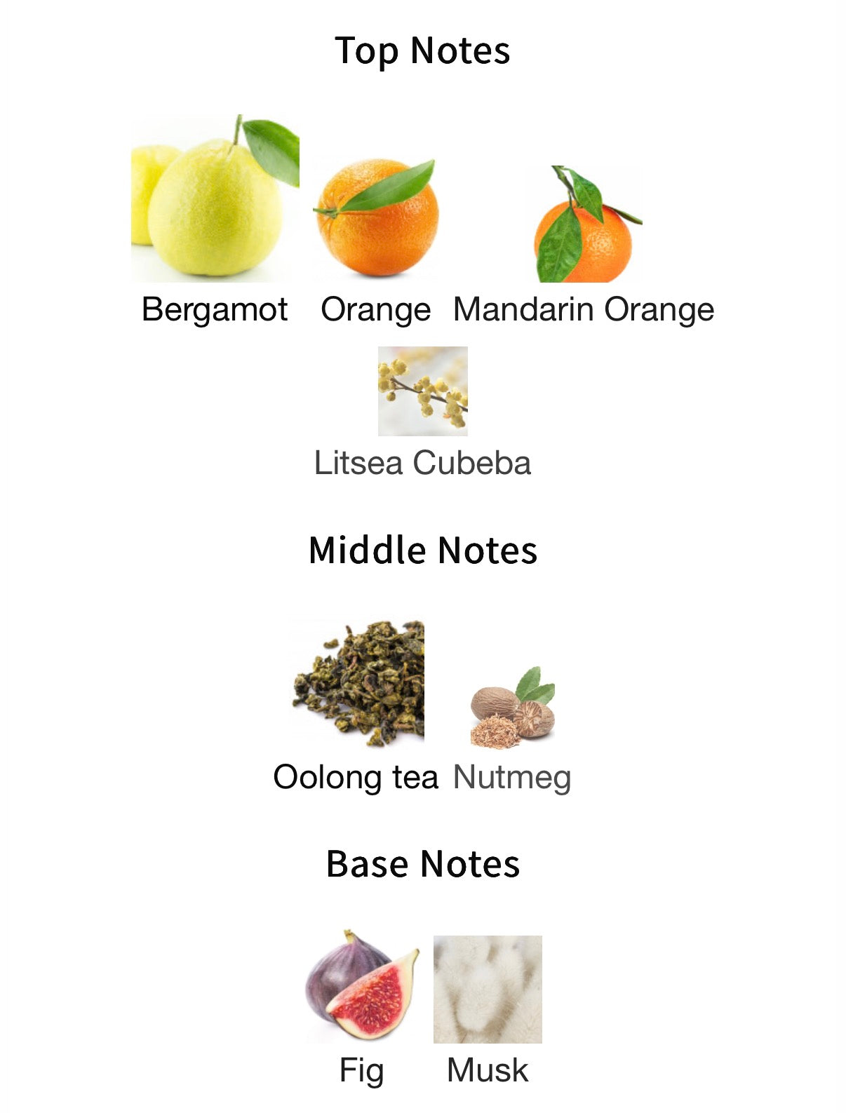 Nishane Wulong Cha 100ml