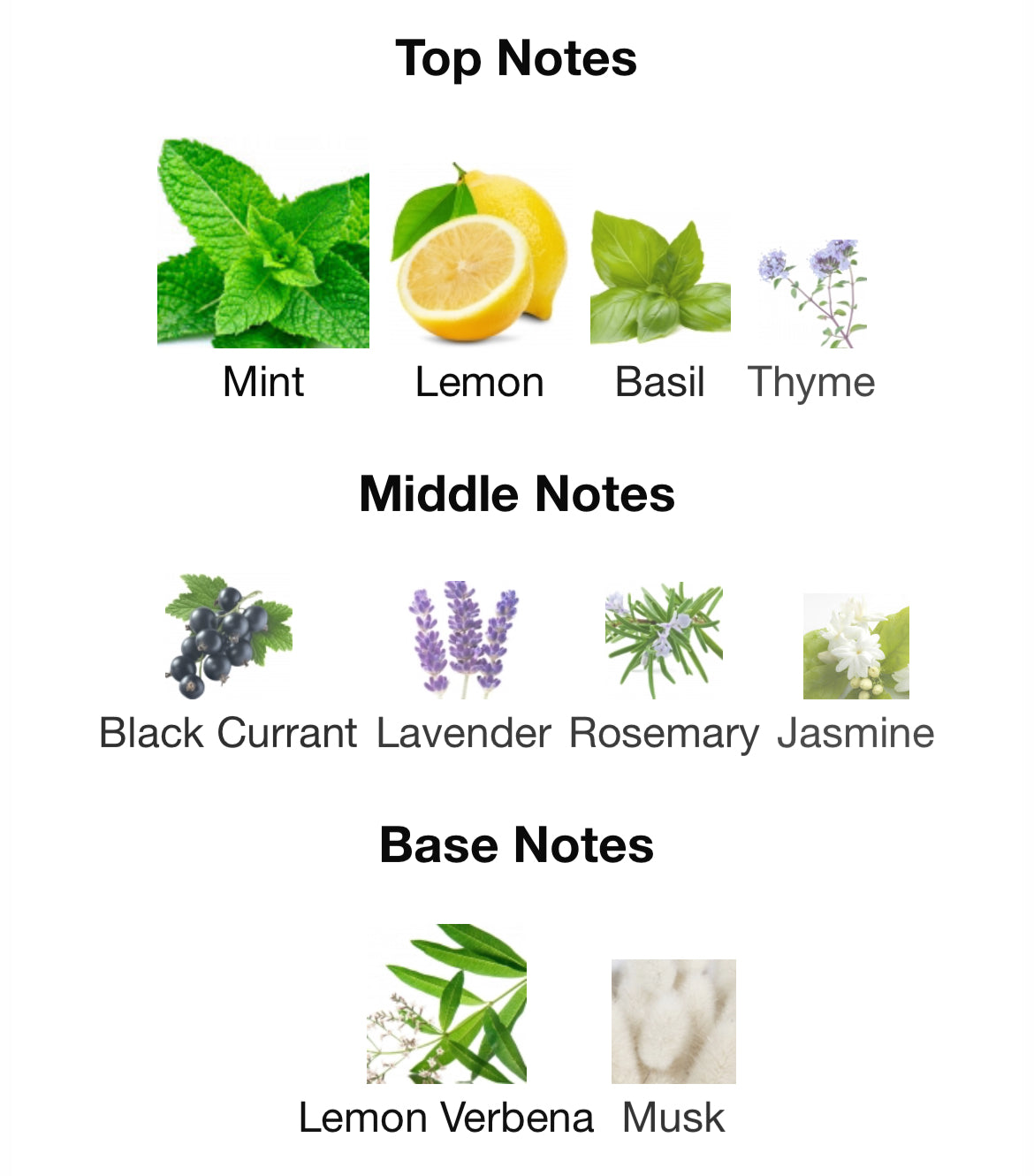 Xerjoff Torino 21 EDP