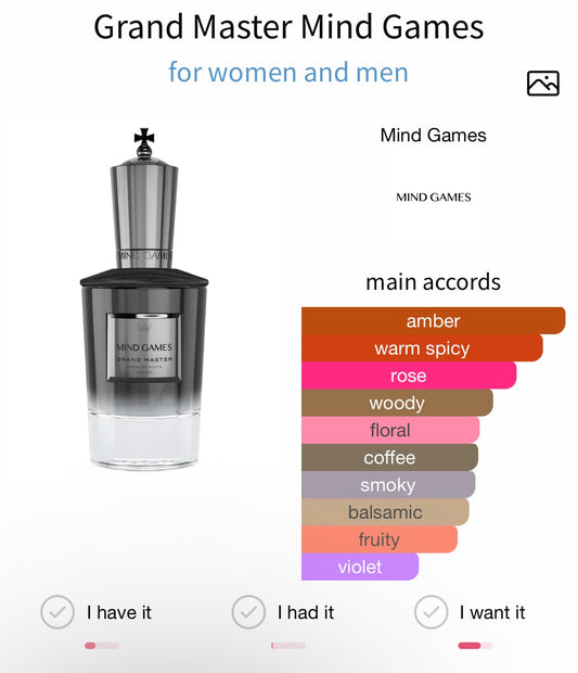 Mind Games Grand Master Extrait 100ml