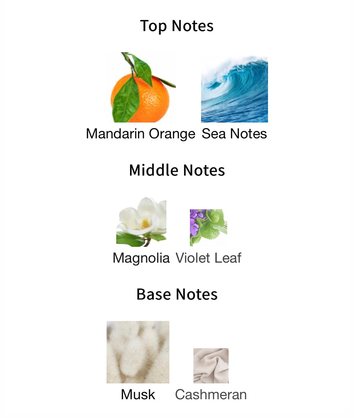 Jusbox Good Morning EDP 78ml