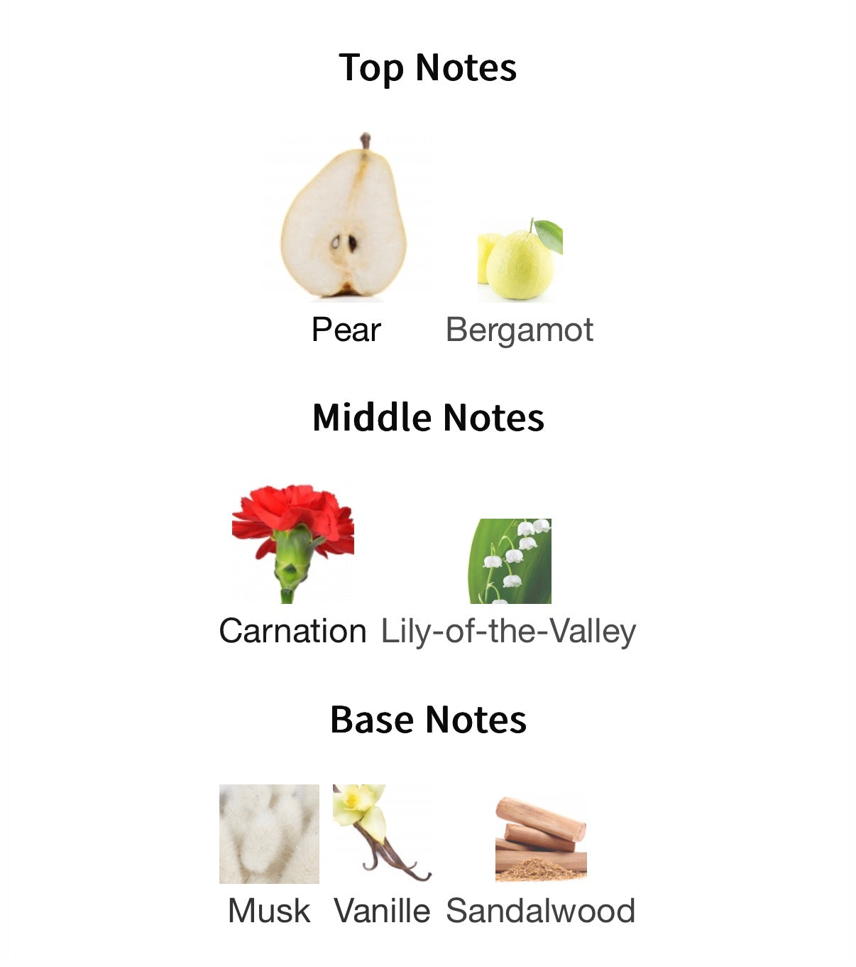 Montale Wild Pears EDP 100ml Tester
