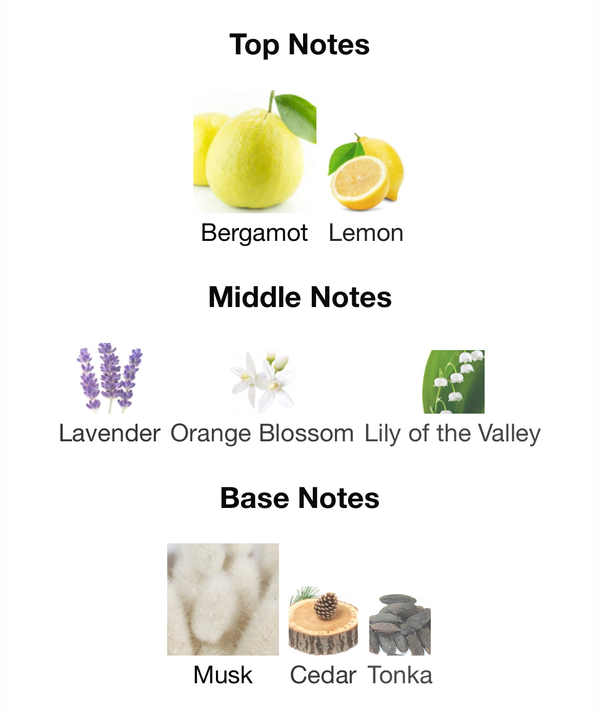 Orto Parisi Bergamask 50ml