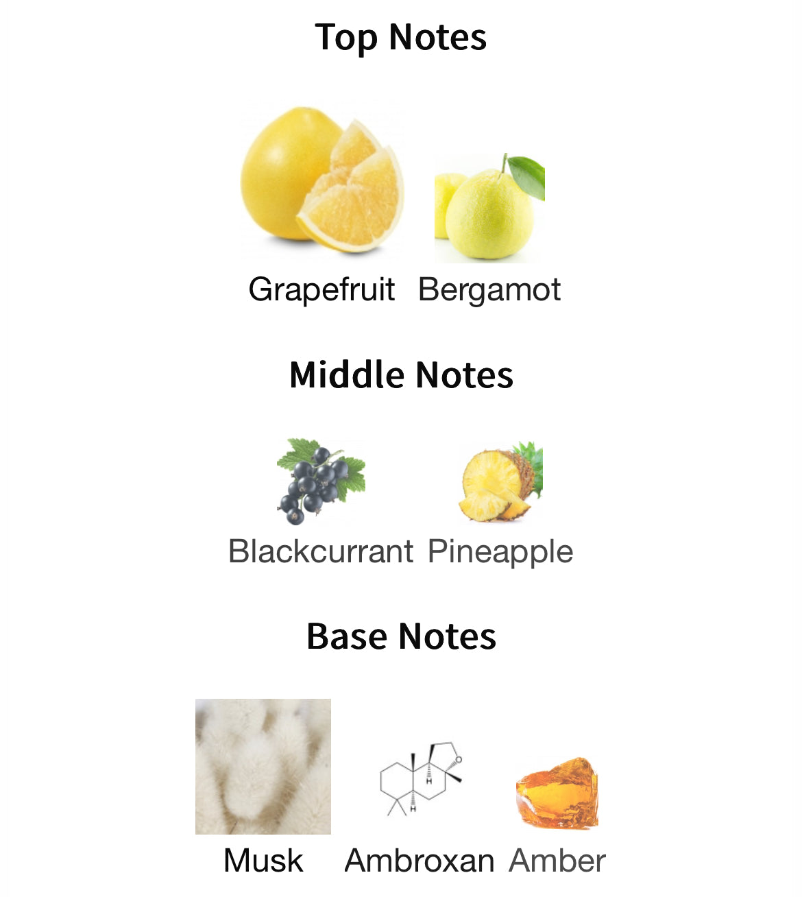 Orto Parisi Risvelium Extrait 50ml