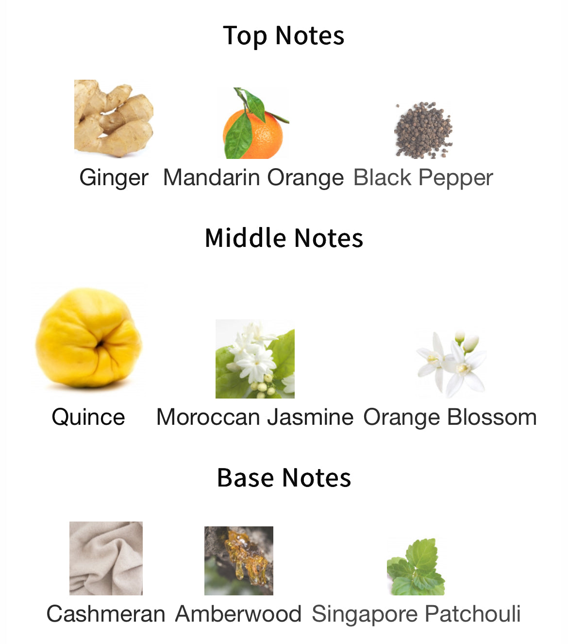 BDK Parfums Pas Ce Soir EDP 100ml