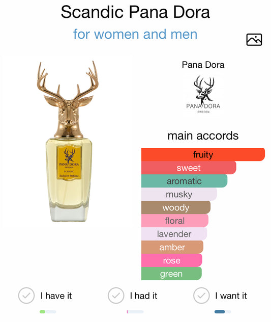 Pana Dora Scandic EDP 100ml