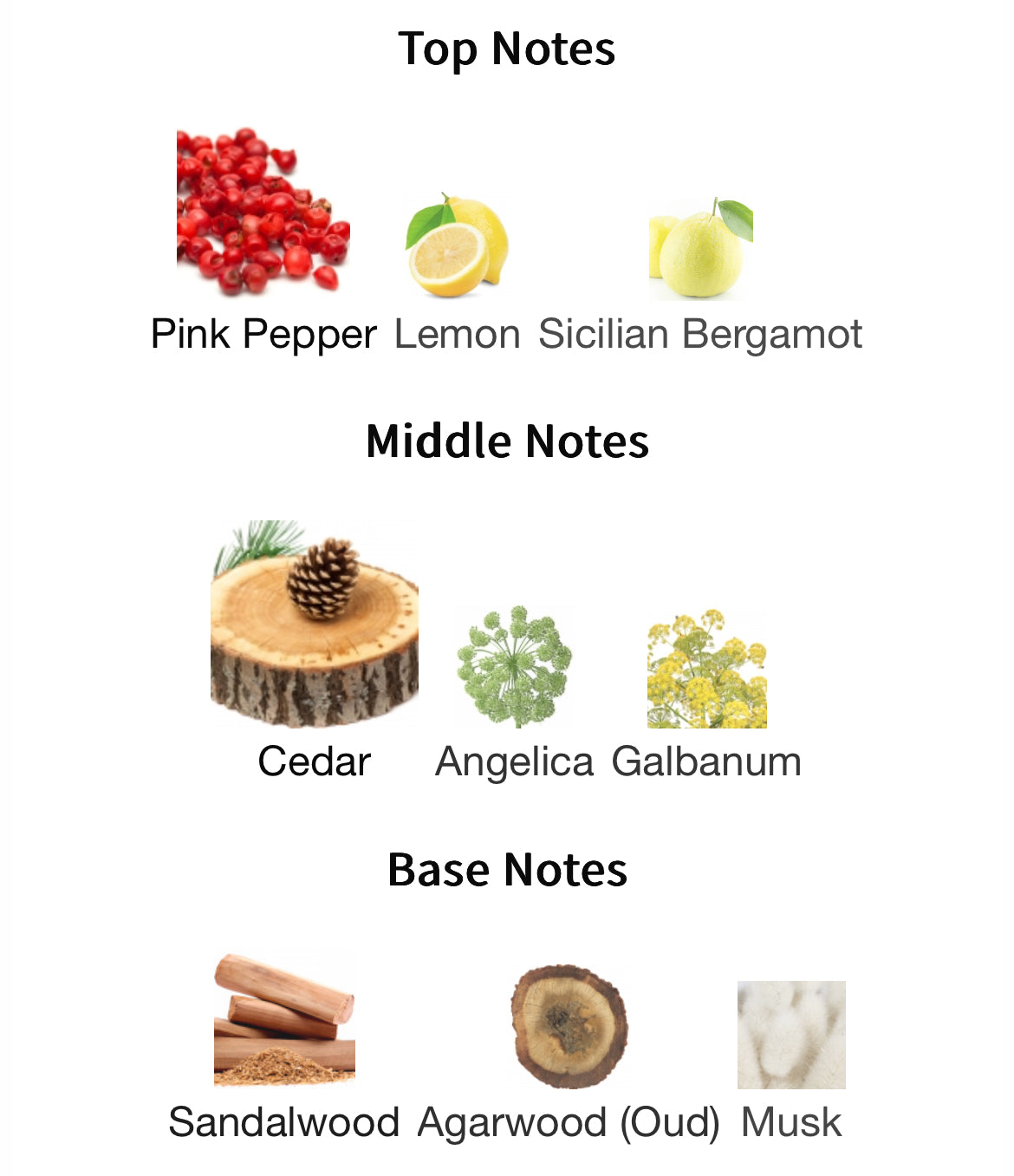 Creed Royal Oud EDP 100ml