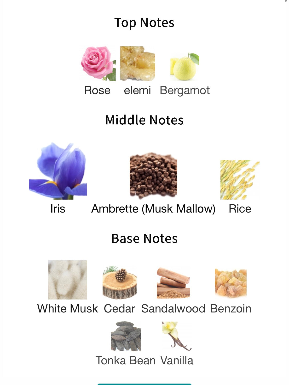 Jovoy Rouge Assassin Tester EDP 100ml