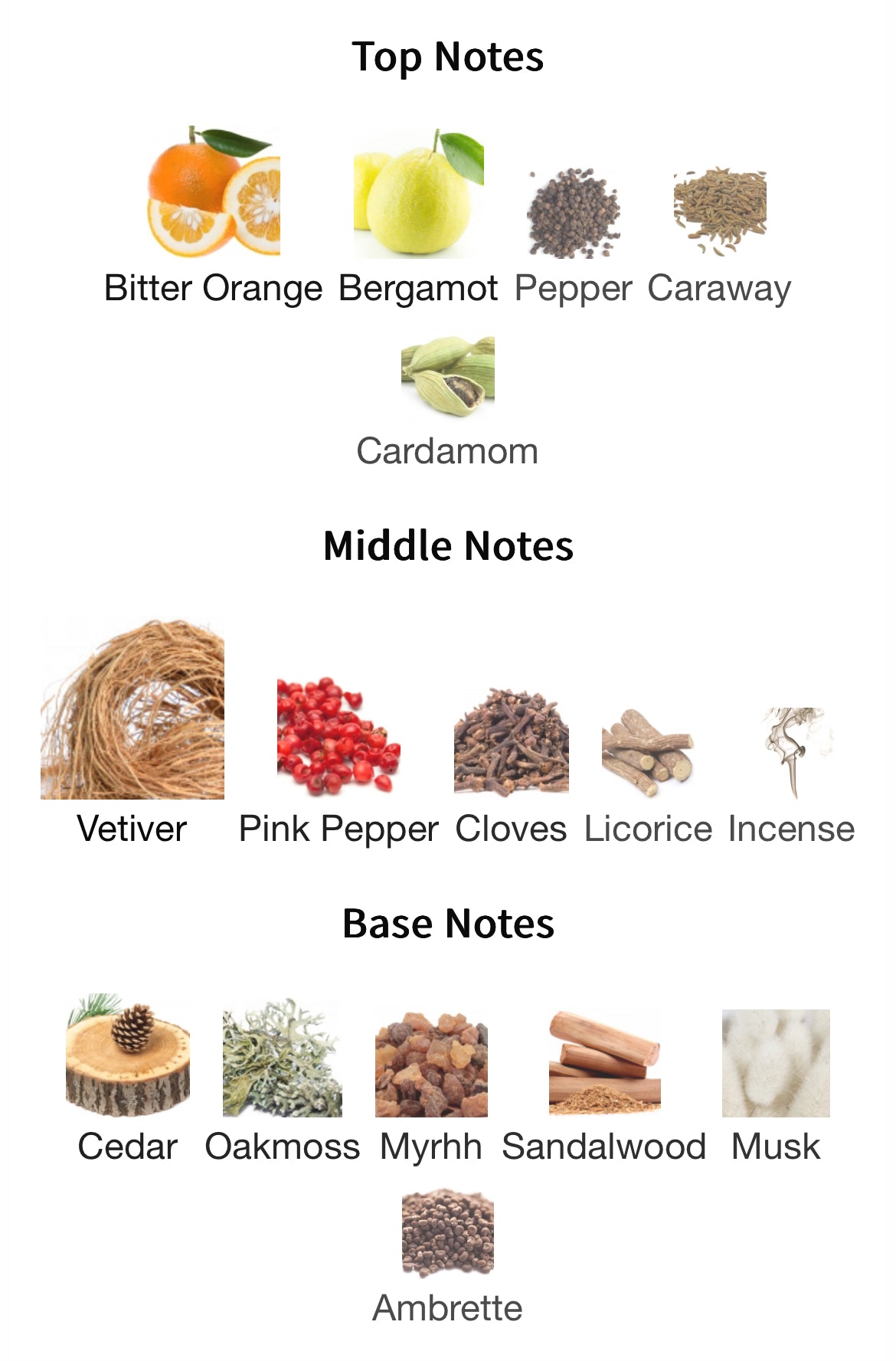 Frederic Malle Vetiver Extraordinaire EDP