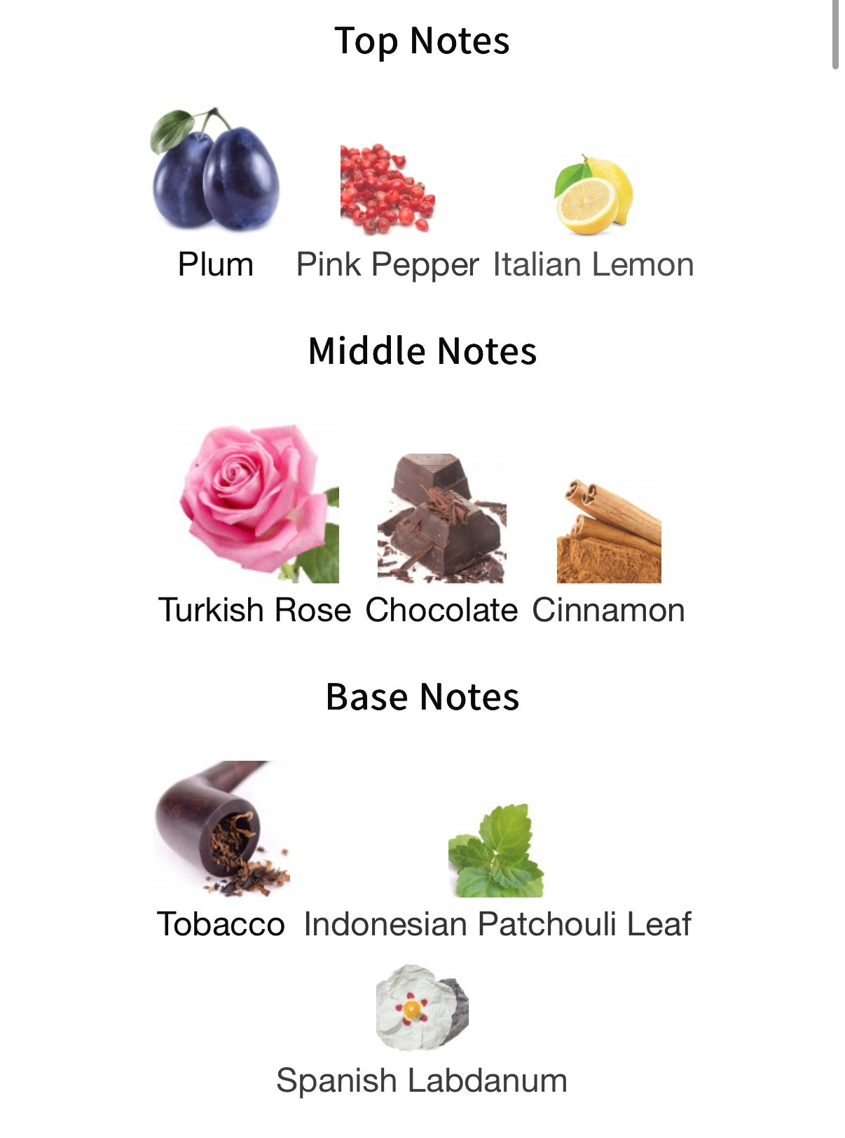 BDK Parfums Tabac Rose EDP