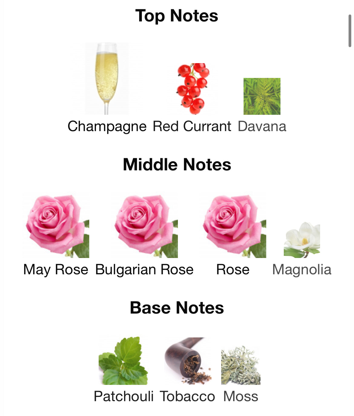 Mind Games Checkmate Extrait 100ml