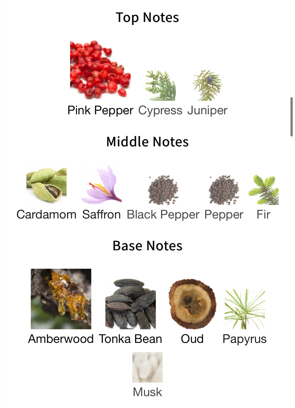 Florian Pontier Jabal Shams EDP 100ml