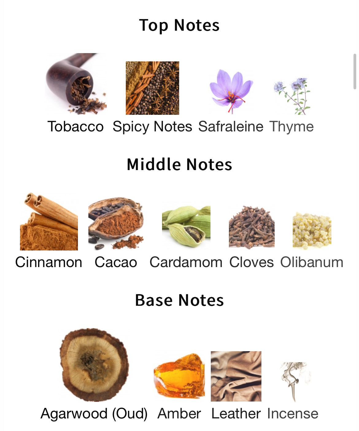 Pana Dora Imperial Wood Extrait