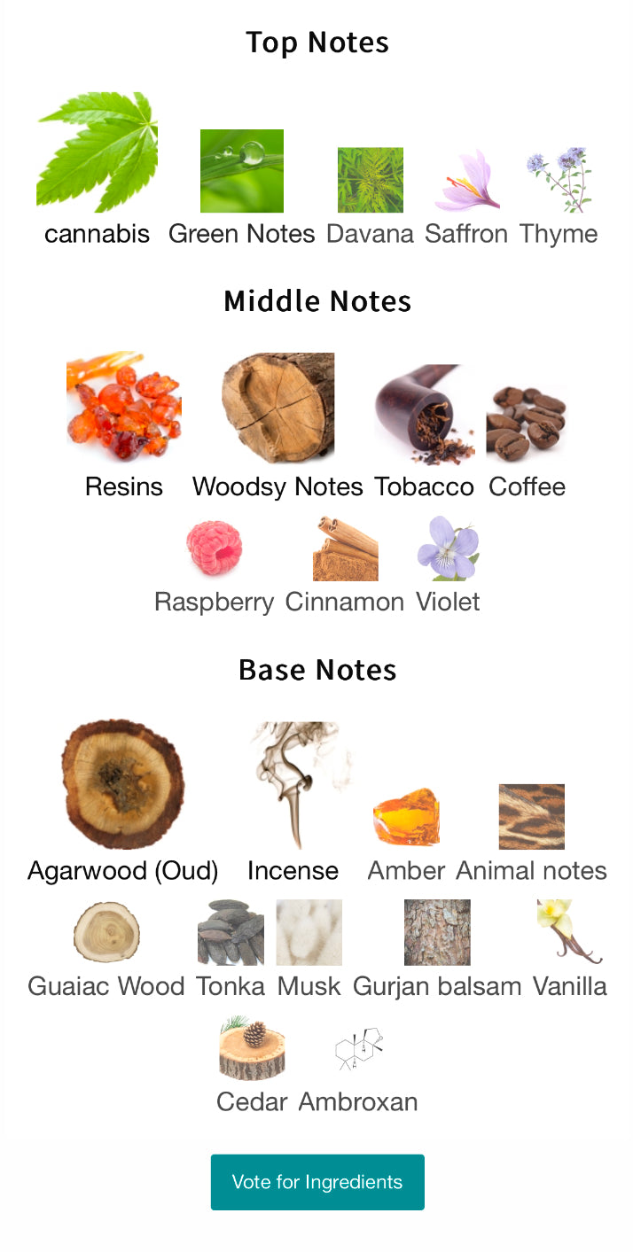 Nasomatto Black Afghano Extrait 30ml