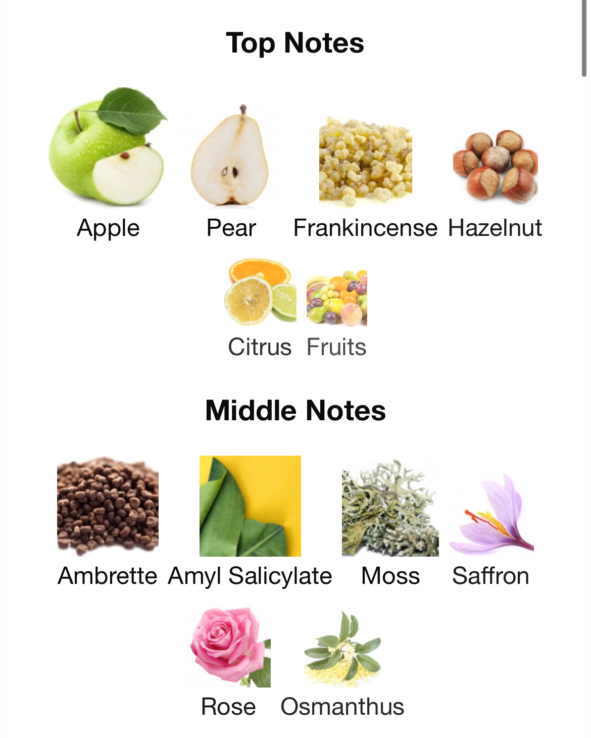 Pana Dora Skadi EDP 100ml