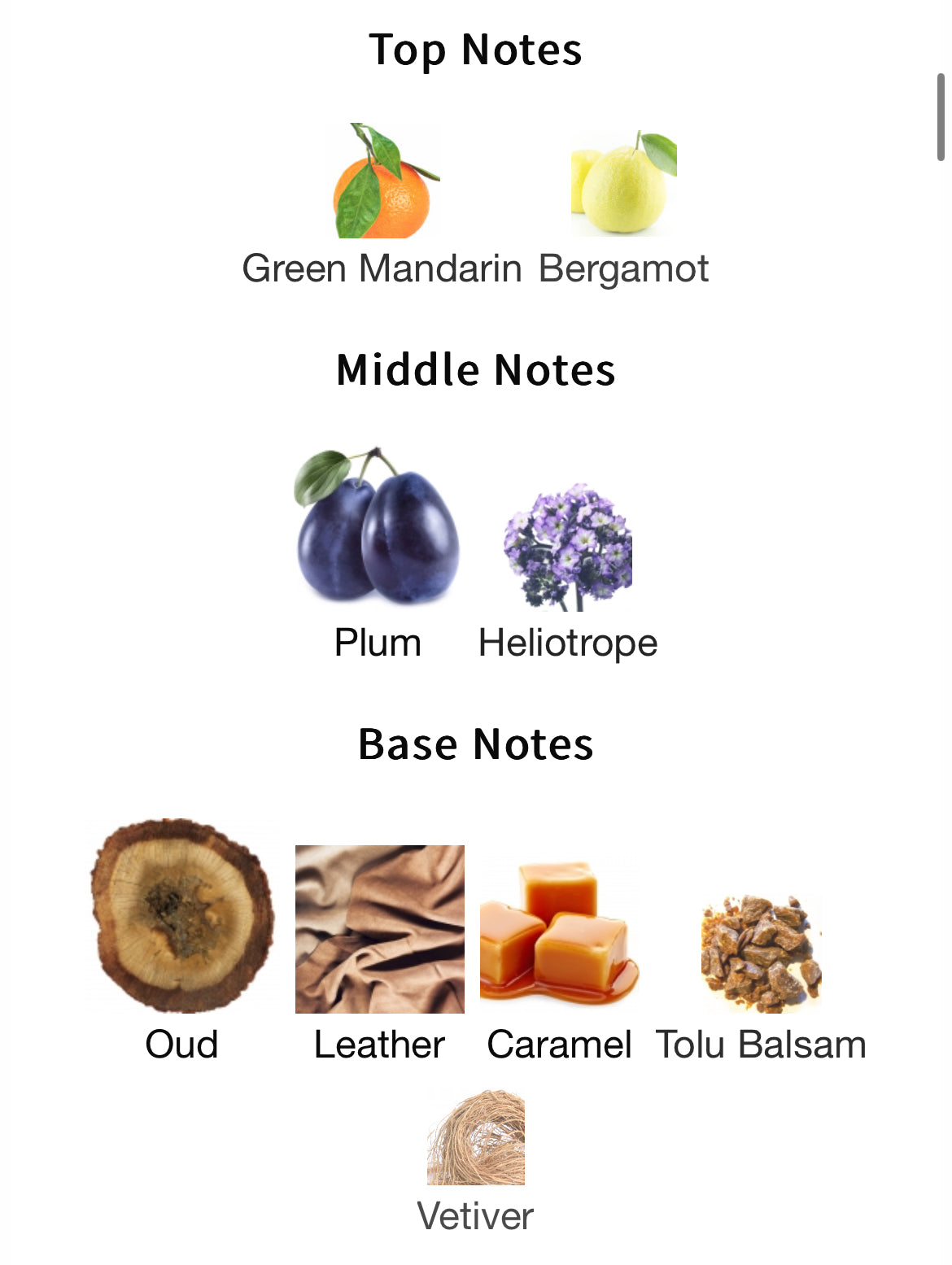 Francesca Bianchi Voluptuous Oud