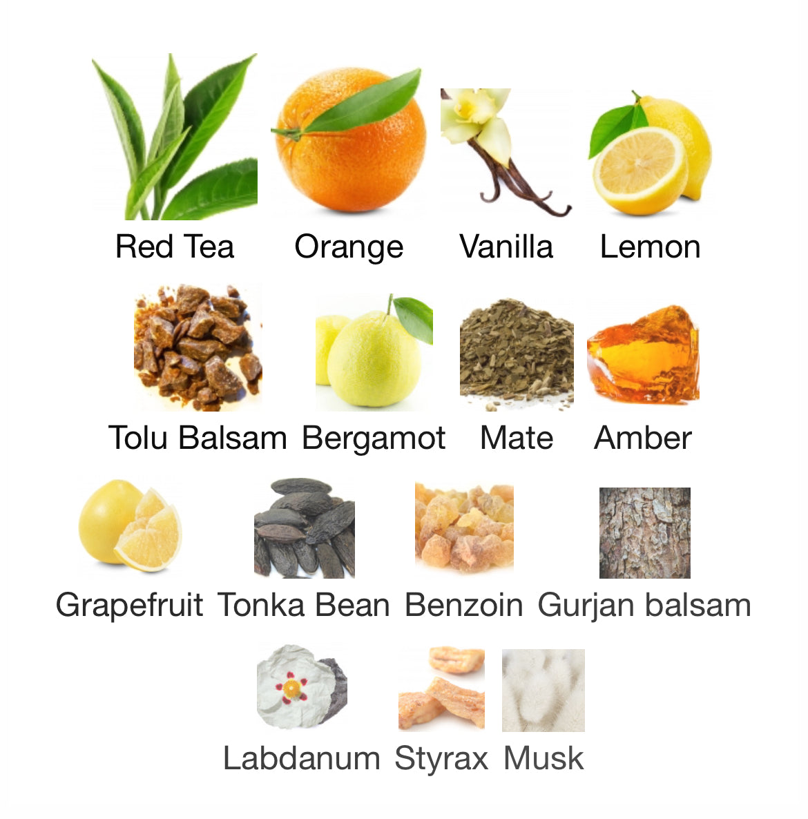 Memo Winter Palace EDP