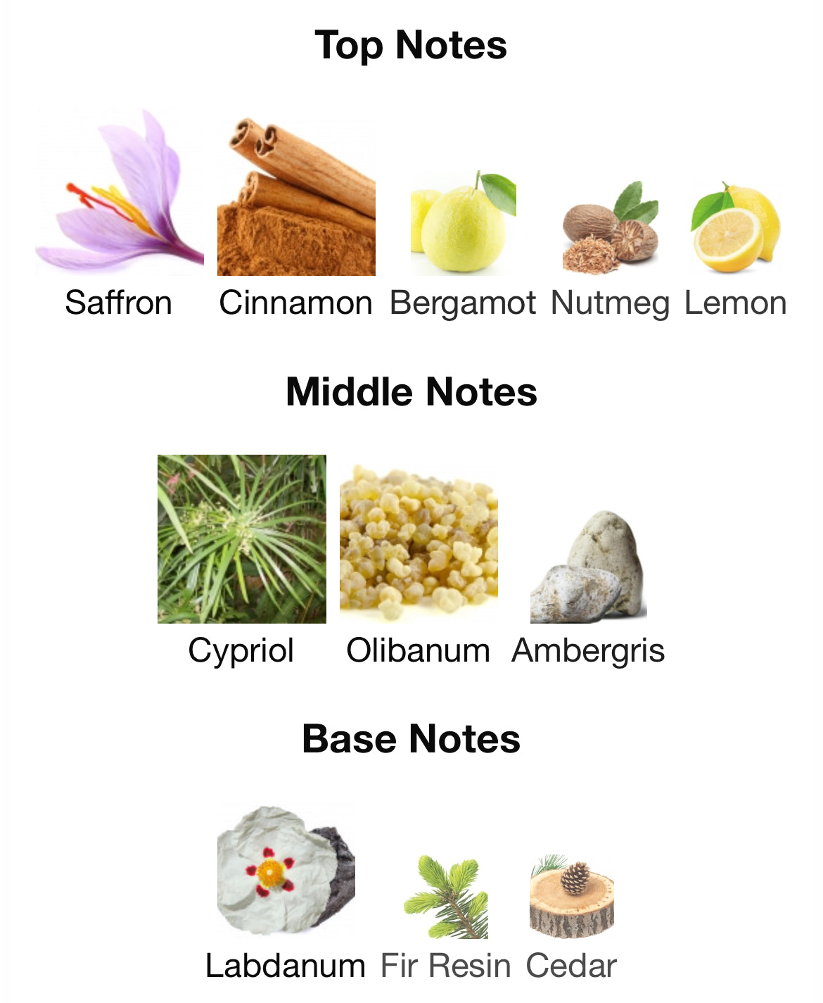 Pana Dora Onyx Black Extrait 100ml