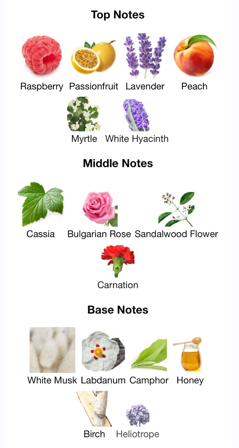 Pana Dora Scandic EDP 100ml