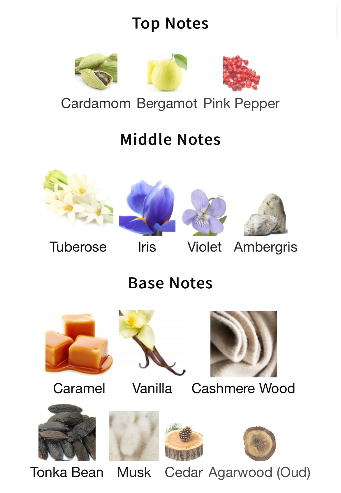 Electimuss Mercurial Cashmere Extrait