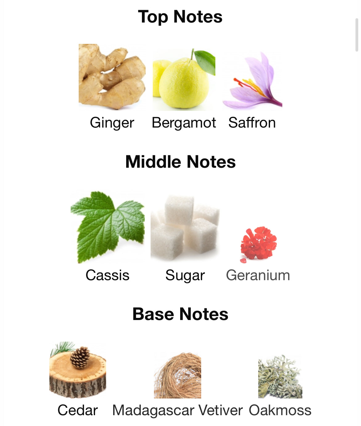 Mind Games En Prise Extrait 100ml