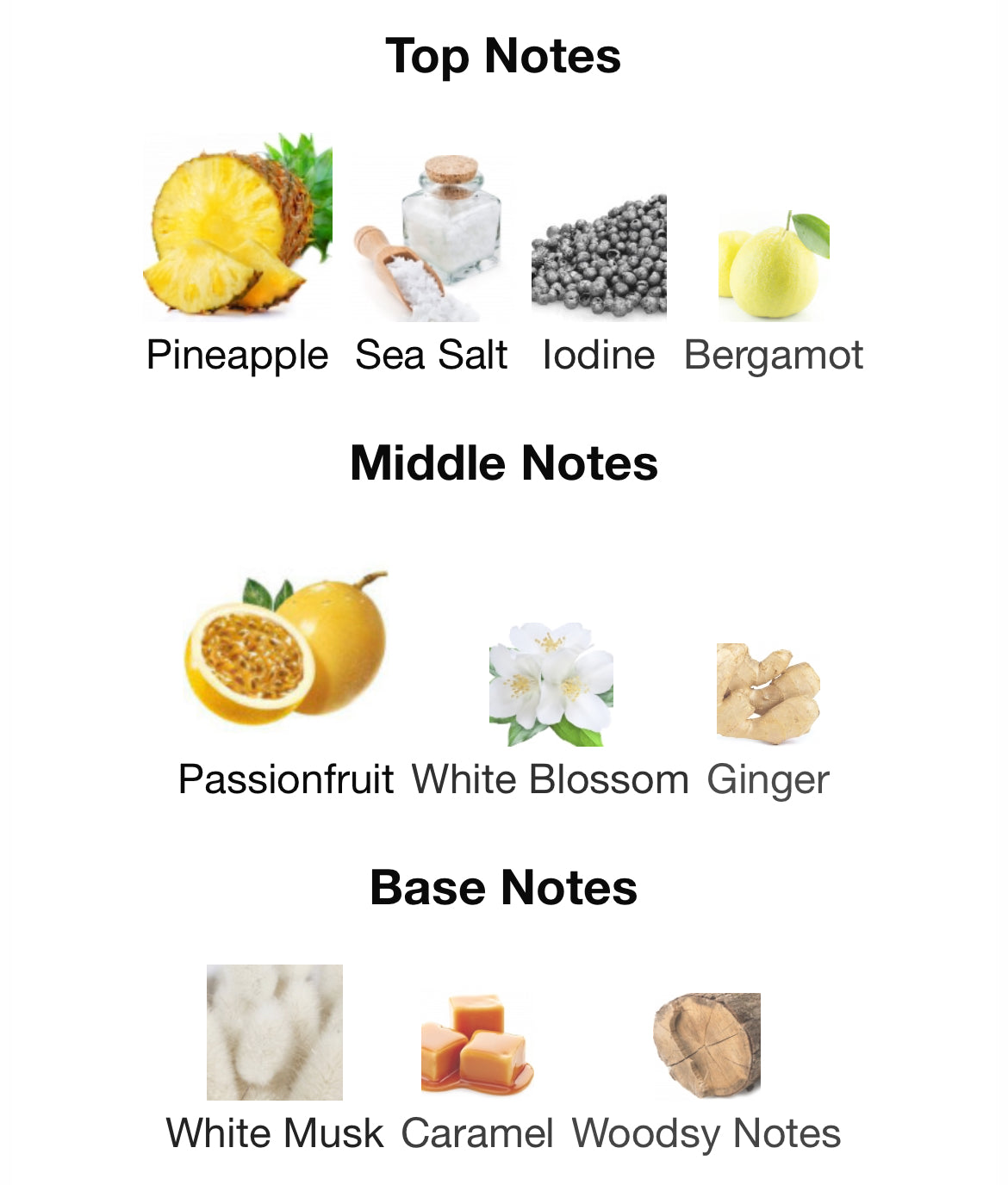 Loumari Porthole EDP 100ml