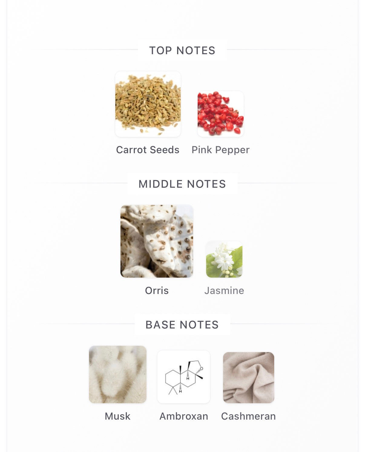 Room 1015 Sonic Flower EDP 100ml