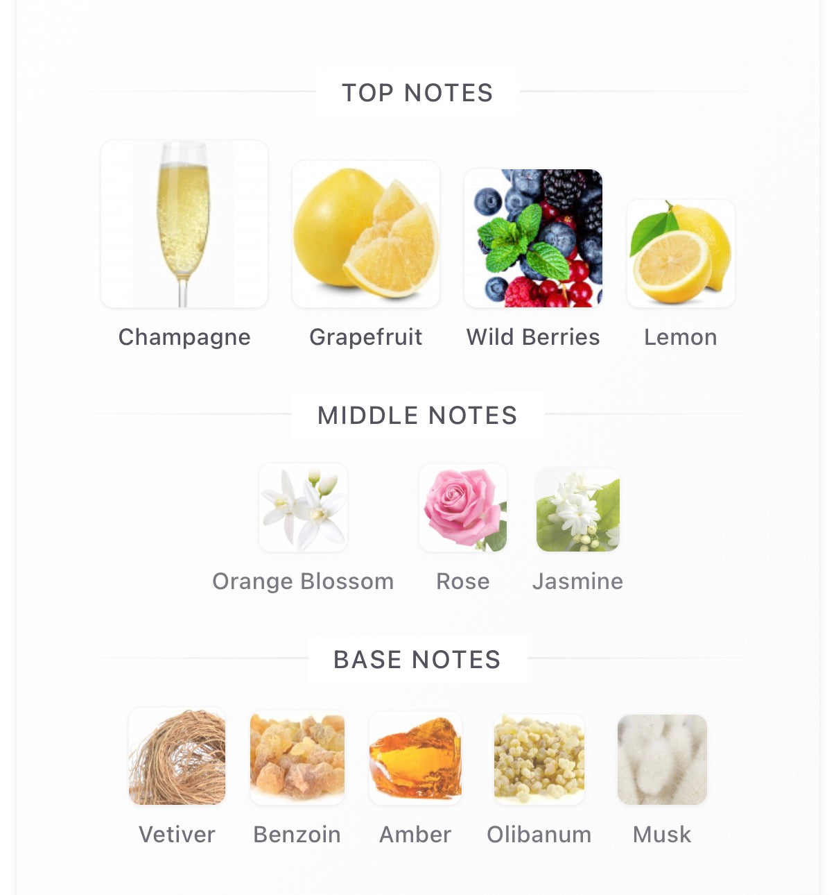 Superz Budapest Flamingo Fizz Extrait