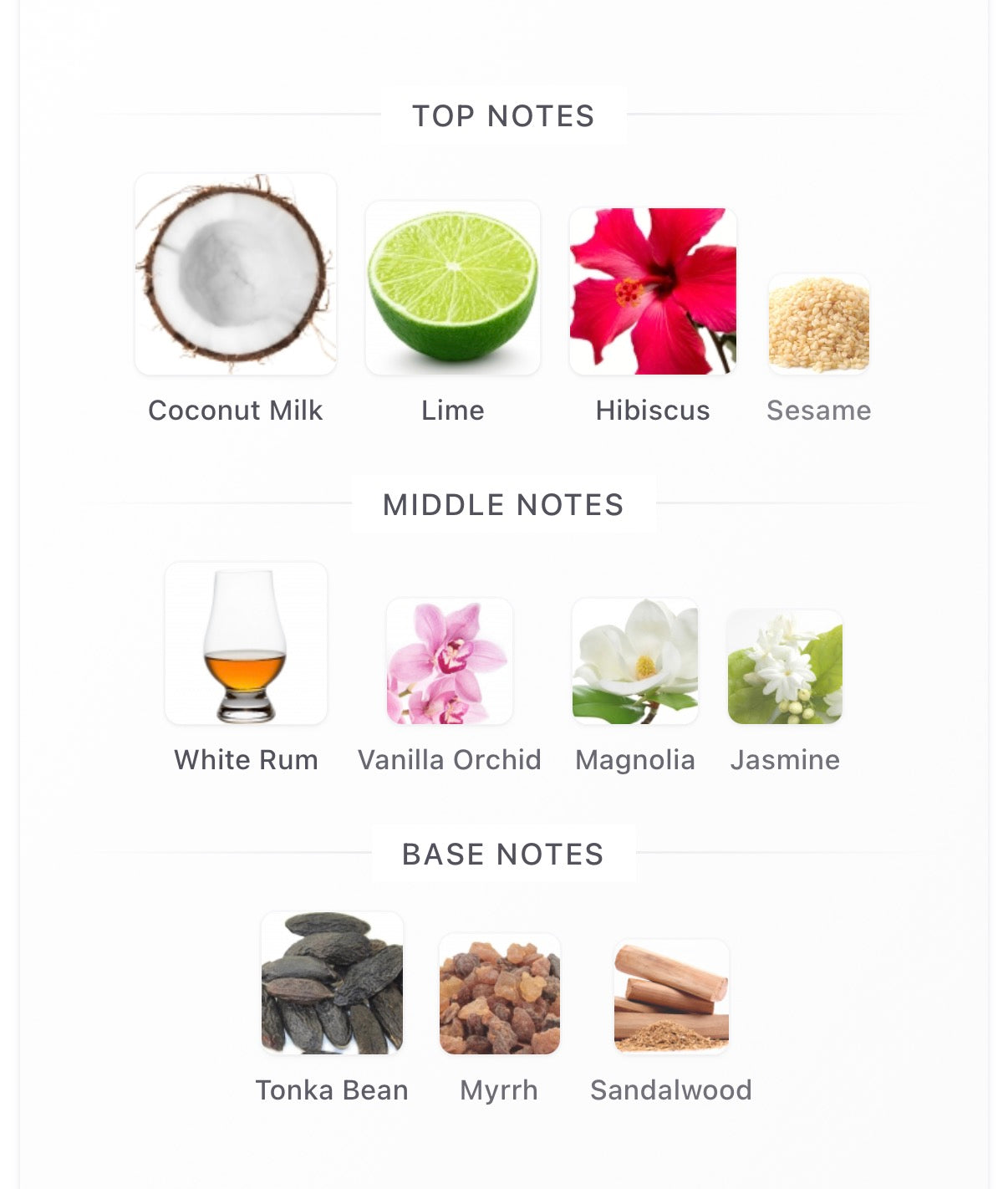 City Rhythm Miami Tropical Confessions Extrait 100ml