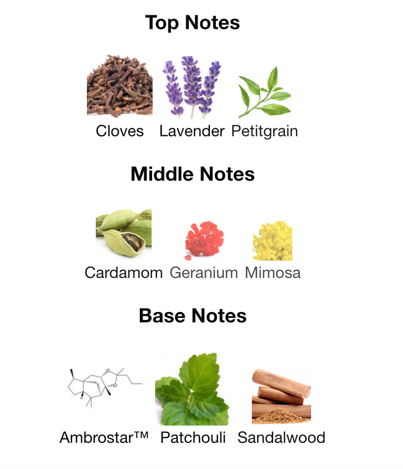 Mind Games Gambit Extrait 100ml