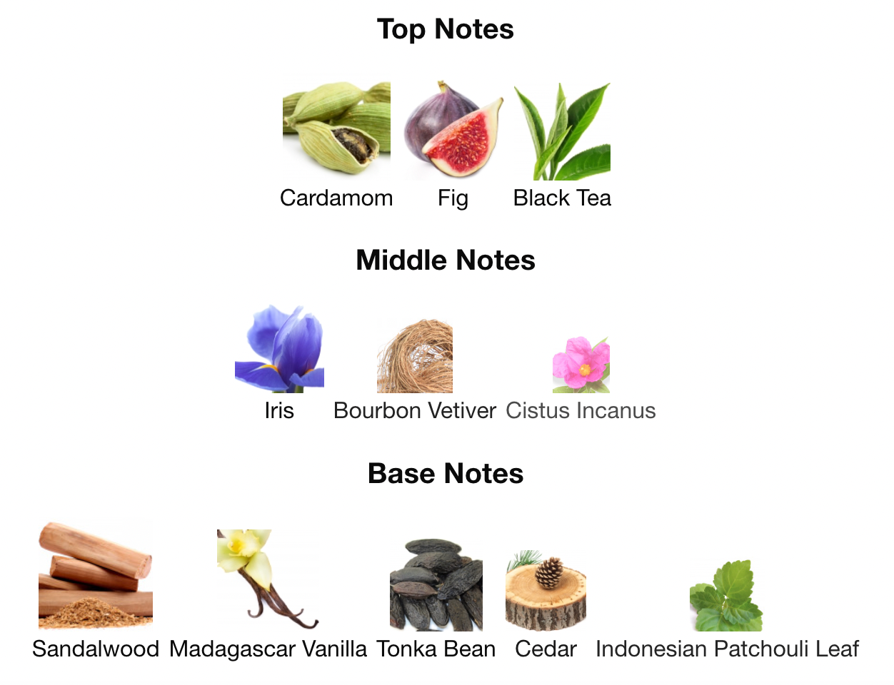 BDK Parfums Gris Charnel Extrait 100ml