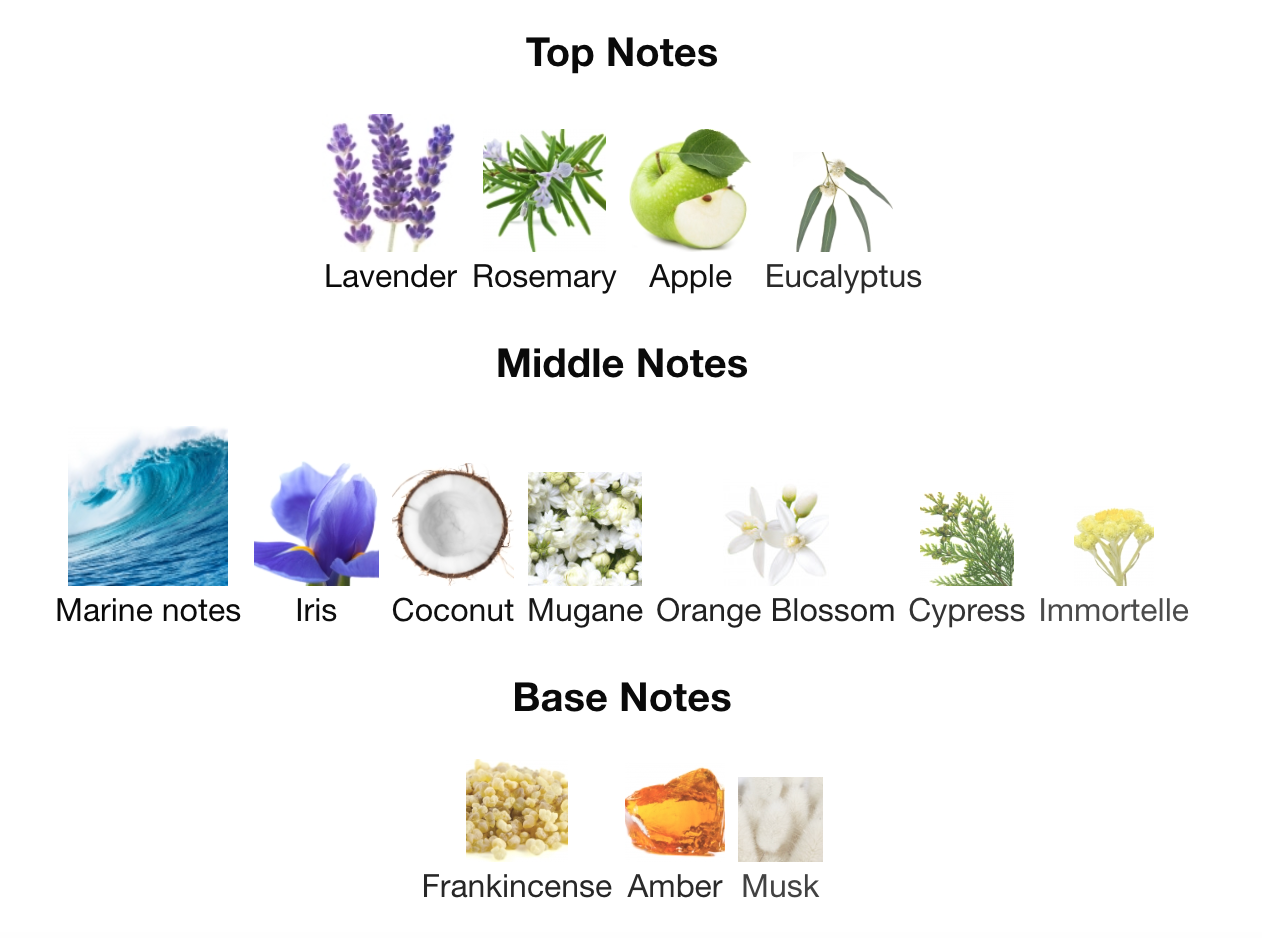 Zaharoff Seraphim Blue