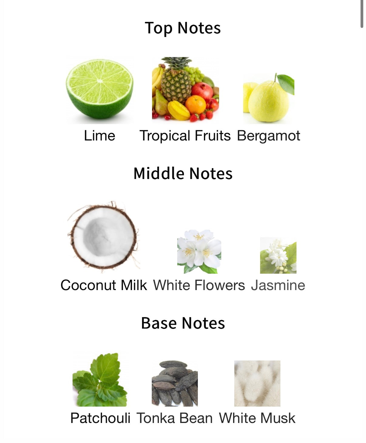 Creed Virgin Island Water 100ml