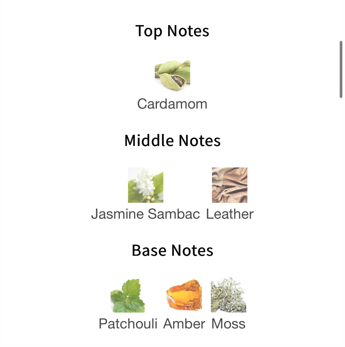 Insider Parfums Hombre Extrait 50ml