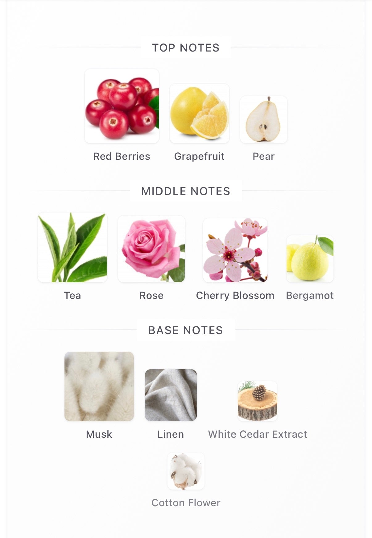 Contes De Parfums Tokyo EDP