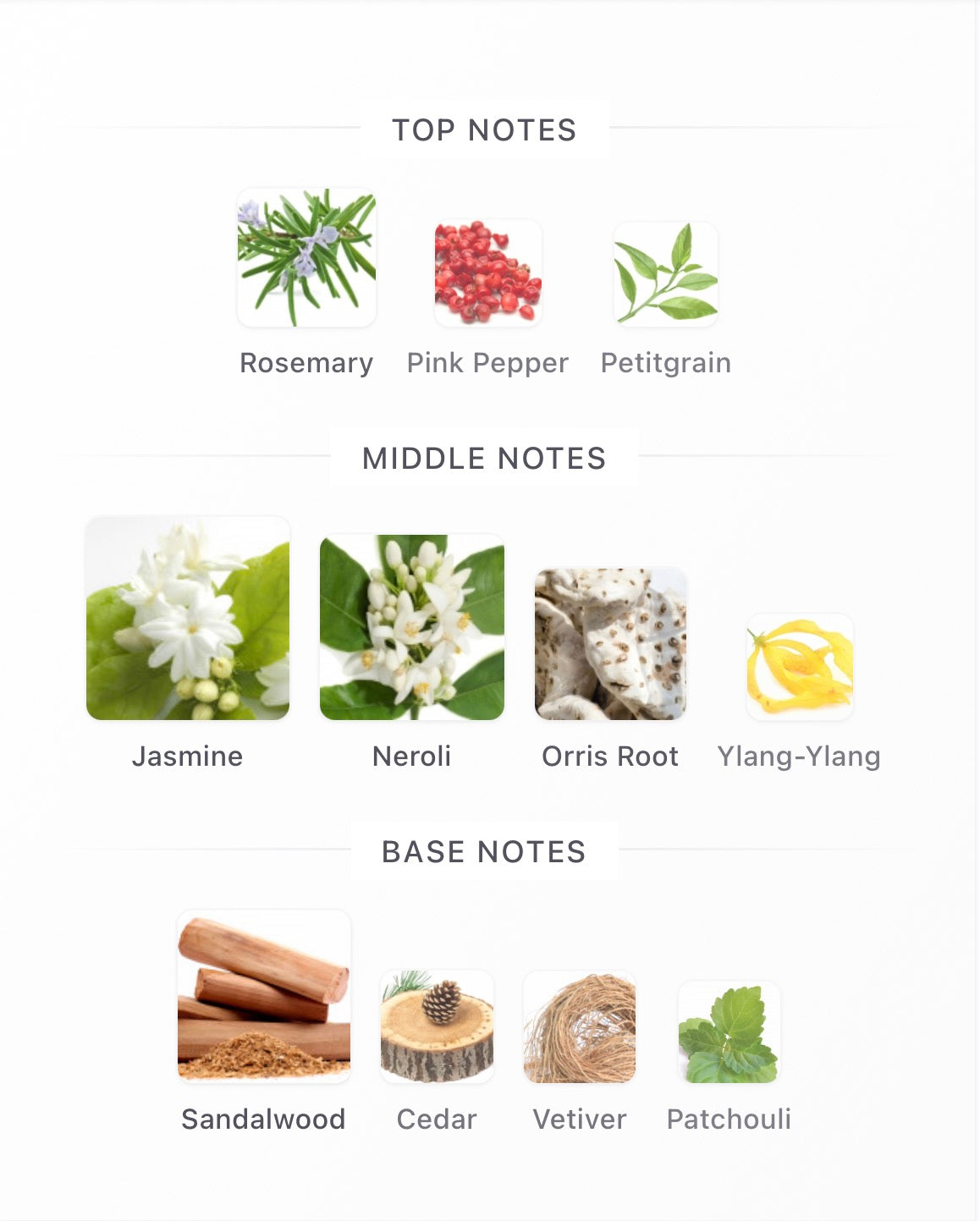 Amouage Reflection Man EDP