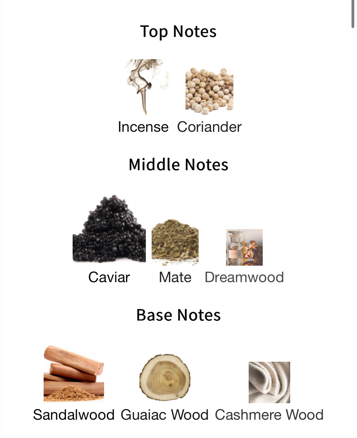 Atelier Des Ors Noir By Night