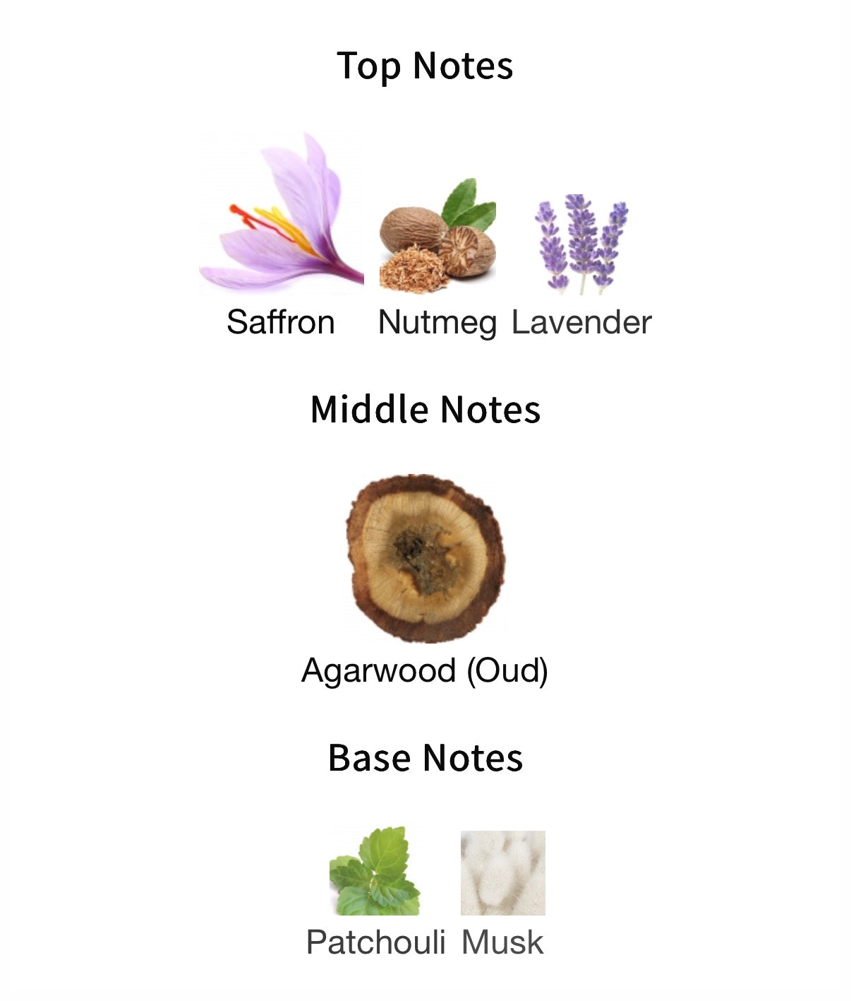 Initio Oud For Greatness EDP