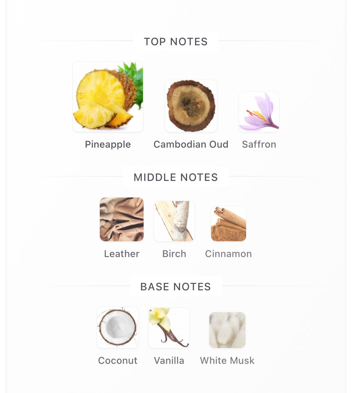 Montale Oud Sapparot EDP Sample