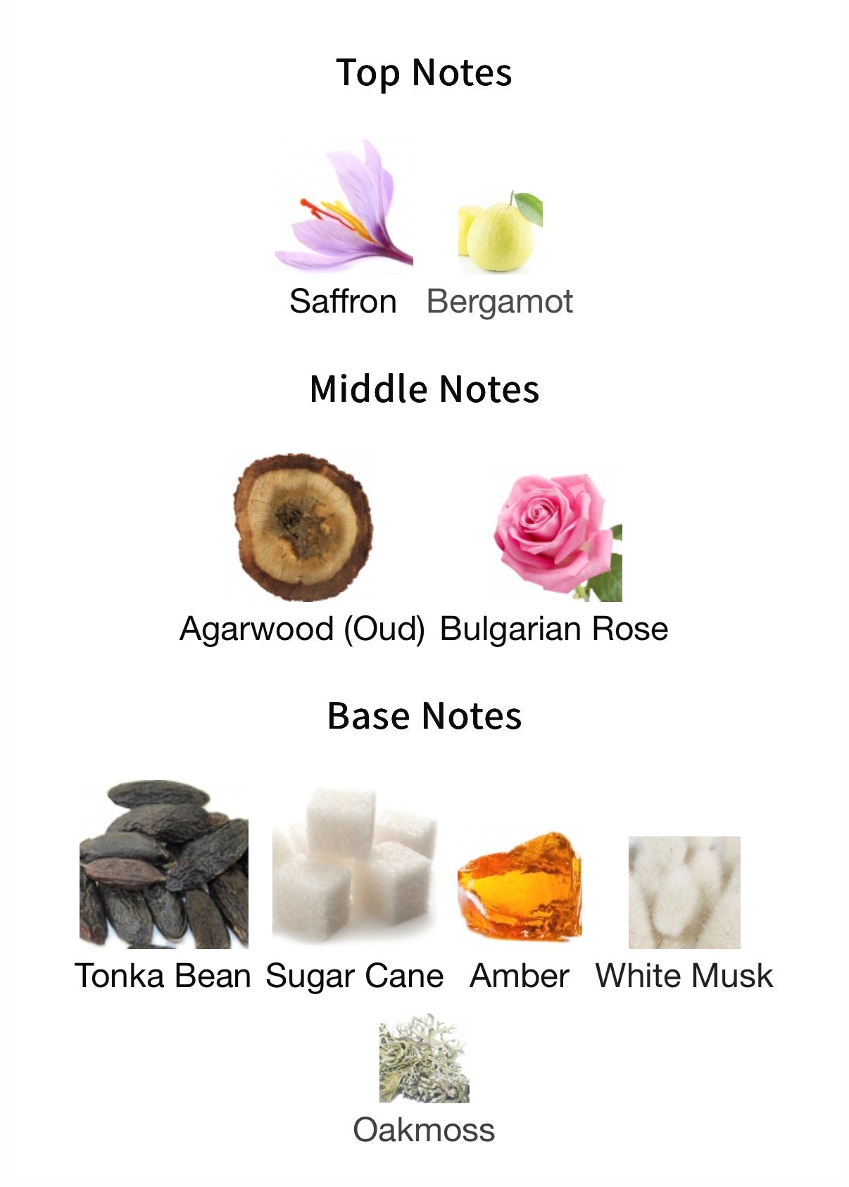 Montale Arabians Tonka EDP 100ml Tester