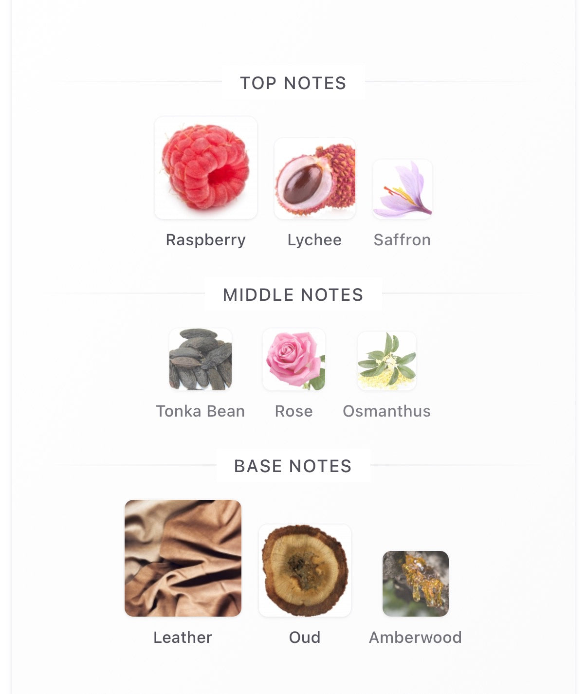 Amouage Sequence Essence de Parfum